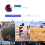 10K Animal Moments Instagram Account