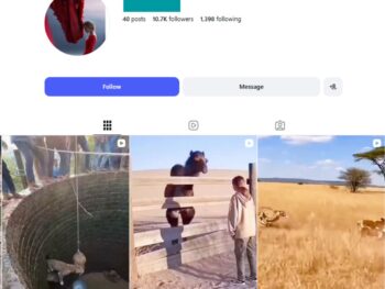 10K Animal Moments Instagram Account