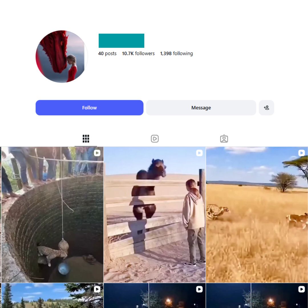 10K Animal Moments Instagram Account for sale 10K Animal Moments Instagram Account - Image 1