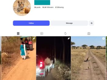 10K Wild Moments Instagram Account