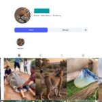 10K Wildlife Reels Instagram Account