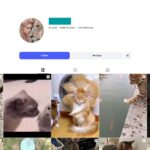 14K Animal Lovers Instagram Account