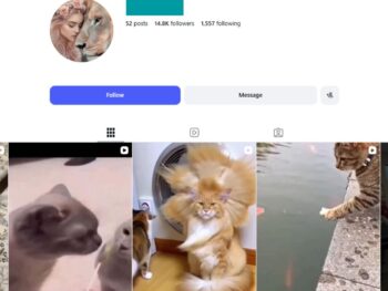 14K Animal Lovers Instagram Account
