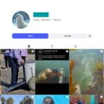 21K Seal Moments Instagram Account