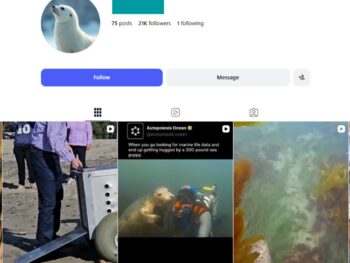 21K Seal Moments Instagram Account