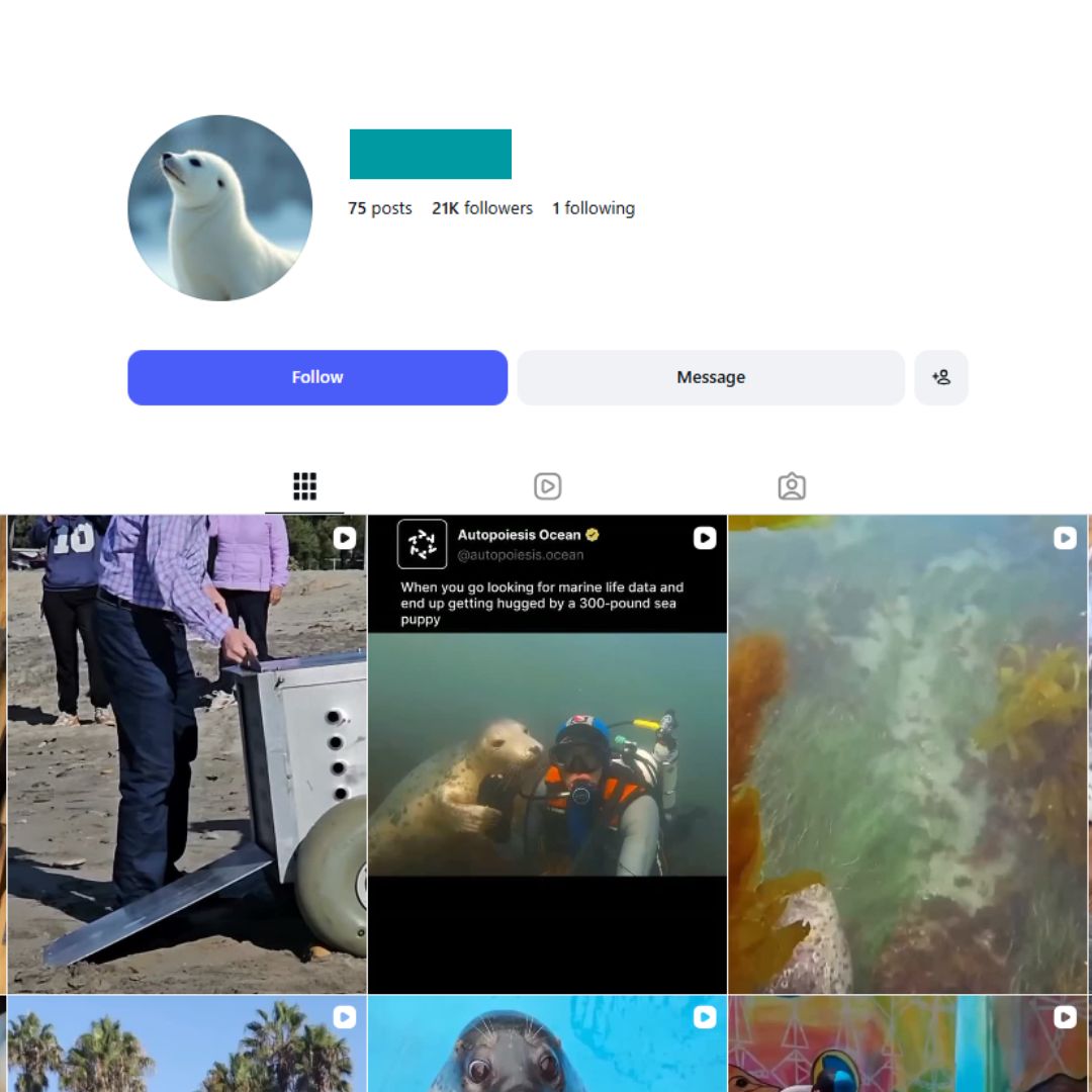 21K Seal Moments Instagram Account for sale 21K Seal Moments Instagram Account - Image 1