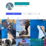 25K Seal Moments Instagram Account for Sale