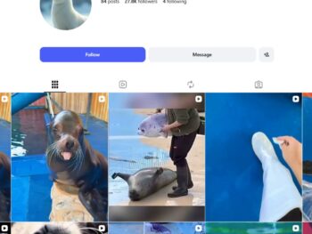 25K Seal Moments Instagram Account for Sale