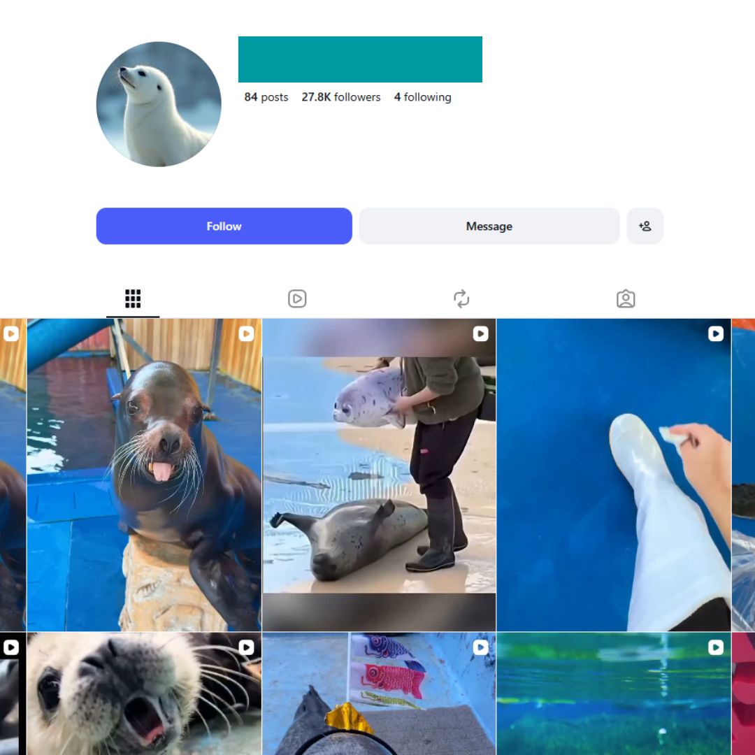 25K Seal Moments Instagram Account for Sale 25K Seal Moments Instagram Account for Sale