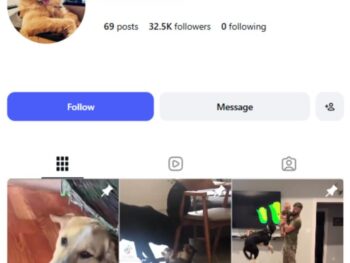 30K Cute Dogs Pets Instagram Account