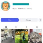 30K Tigers Animals Instagram Account