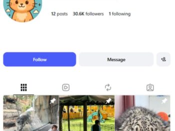 30K Tigers Animals Instagram Account