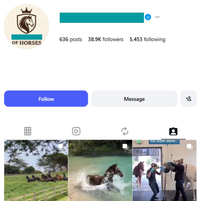 38K Horses Animals Instagram Account for sale 38K Horses Animals Instagram Account - Image 1
