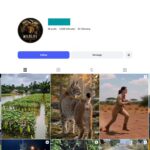 3K Wild Animals Instagram Account