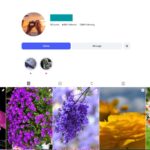 4K Flower Lover Instagram Account