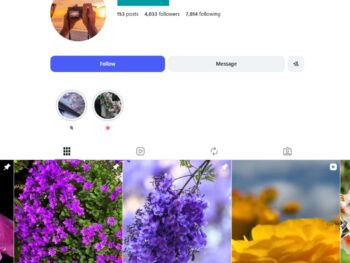 4K Flower Lover Instagram Account