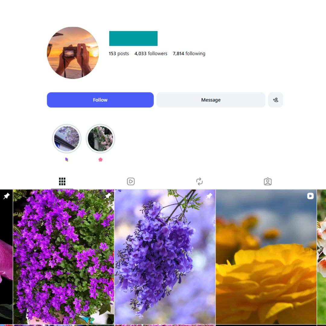 4K Flower Lover Instagram Account for sale 4K Flower Lover Instagram Account - Image 1