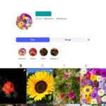 4K Flower Photography Instagram Account