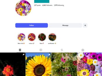 4K Flower Photography Instagram Account