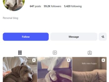 59K Dogs Pets Instagram Account