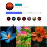 5K Flower Instagram Account