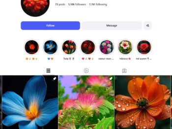 5K Flower Instagram Account