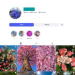 5K Nature Explorer Instagram Account