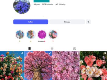 5K Nature Explorer Instagram Account