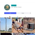 7K Animal Videos Instagram Account