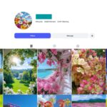 8K Nature Explorer Instagram Account