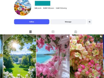8K Nature Explorer Instagram Account