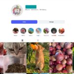 9K Fresh Fruit Instagram Account