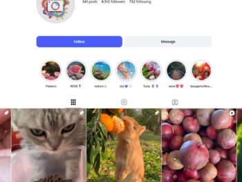9K Fresh Fruit Instagram Account