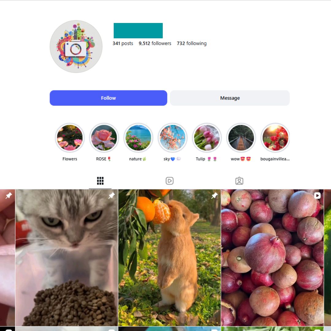 9K Fresh Fruit Instagram Account for sale 9K Fresh Fruit Instagram Account - Image 1