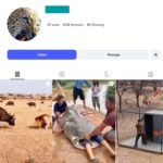 10K Wildlife Instagram Account