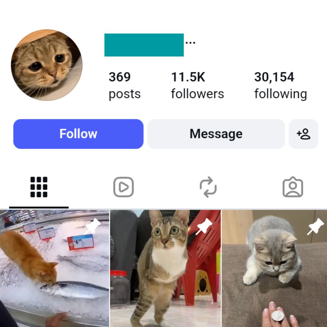 11K Funny Cats Instagram Account for sale 11K Funny Cats Instagram Account - Image 1