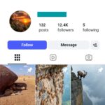 12K Wild Animals Instagram Account