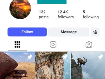 12K Wild Animals Instagram Account