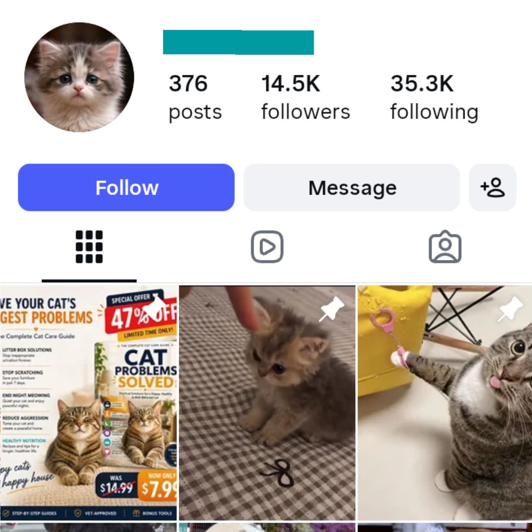 14K Funny Cats Instagram Account for sale 14K Funny Cats Instagram Account - Image 1