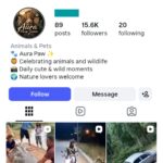 15K Wild Moments Instagram Account