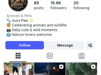 15K Wild Moments Instagram Account