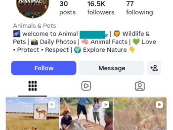 16K Wild Life Instagram Account