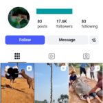 17K Animal Wild Moments Instagram Account