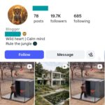 19K 4K Wild Animals Instagram Account