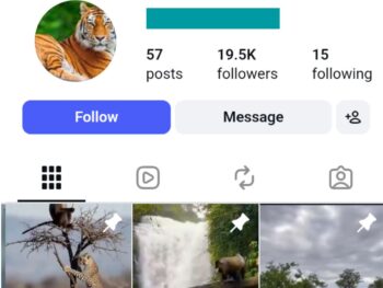 19K Animal Wild Moments Instagram Account