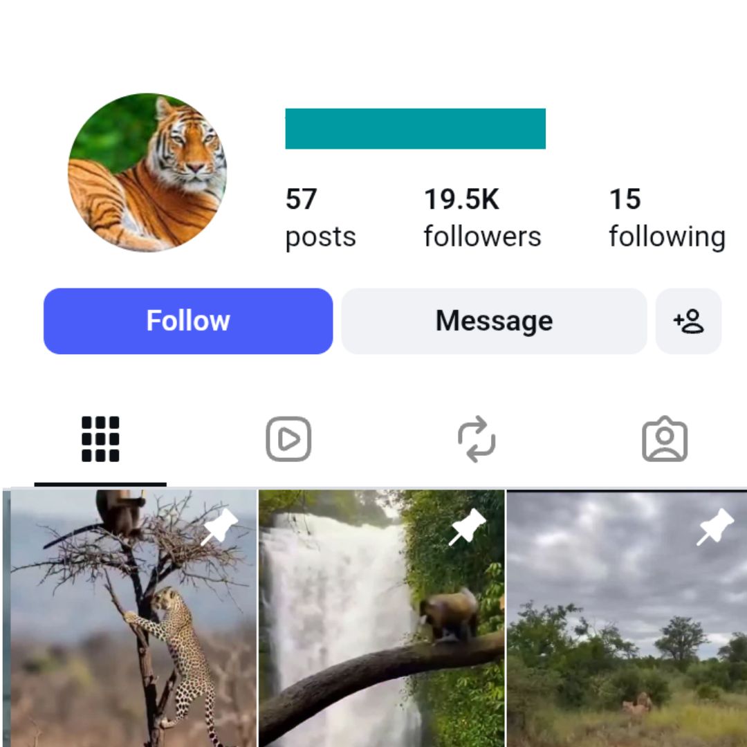 19K Animal Wild Moments Instagram Account for sale 19K Animal Wild Moments Instagram Account - Image 1