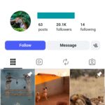20K Wild Animal Moments Instagram Account