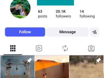 20K Wild Animal Moments Instagram Account