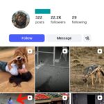 22K Wildlife Hunting Instagram Account