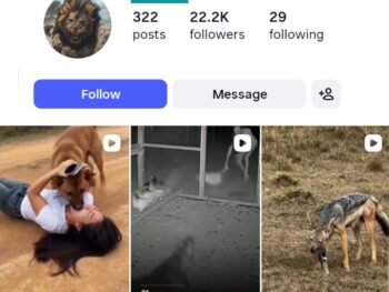 22K Wildlife Hunting Instagram Account